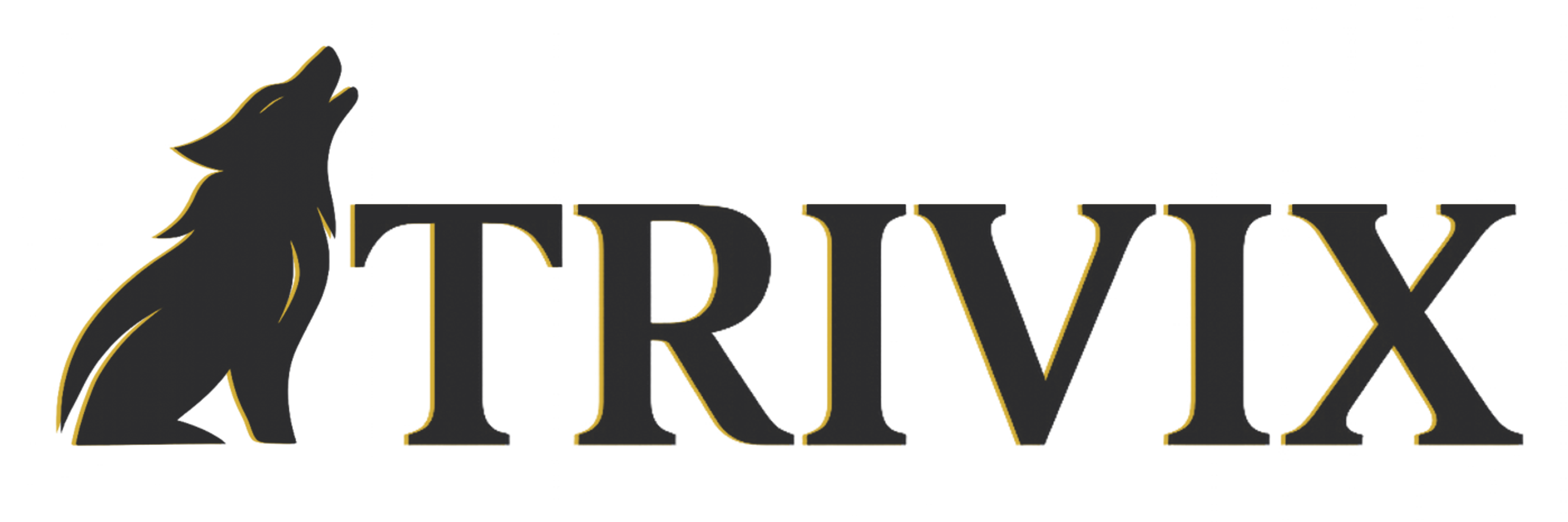 TRIVIX Group logo